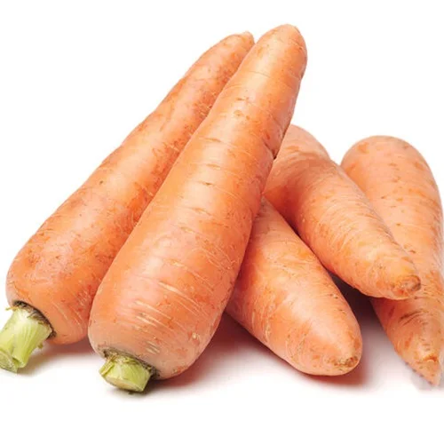 Super Quality Fresh Carrots / Affordable Price Fresh Carrots