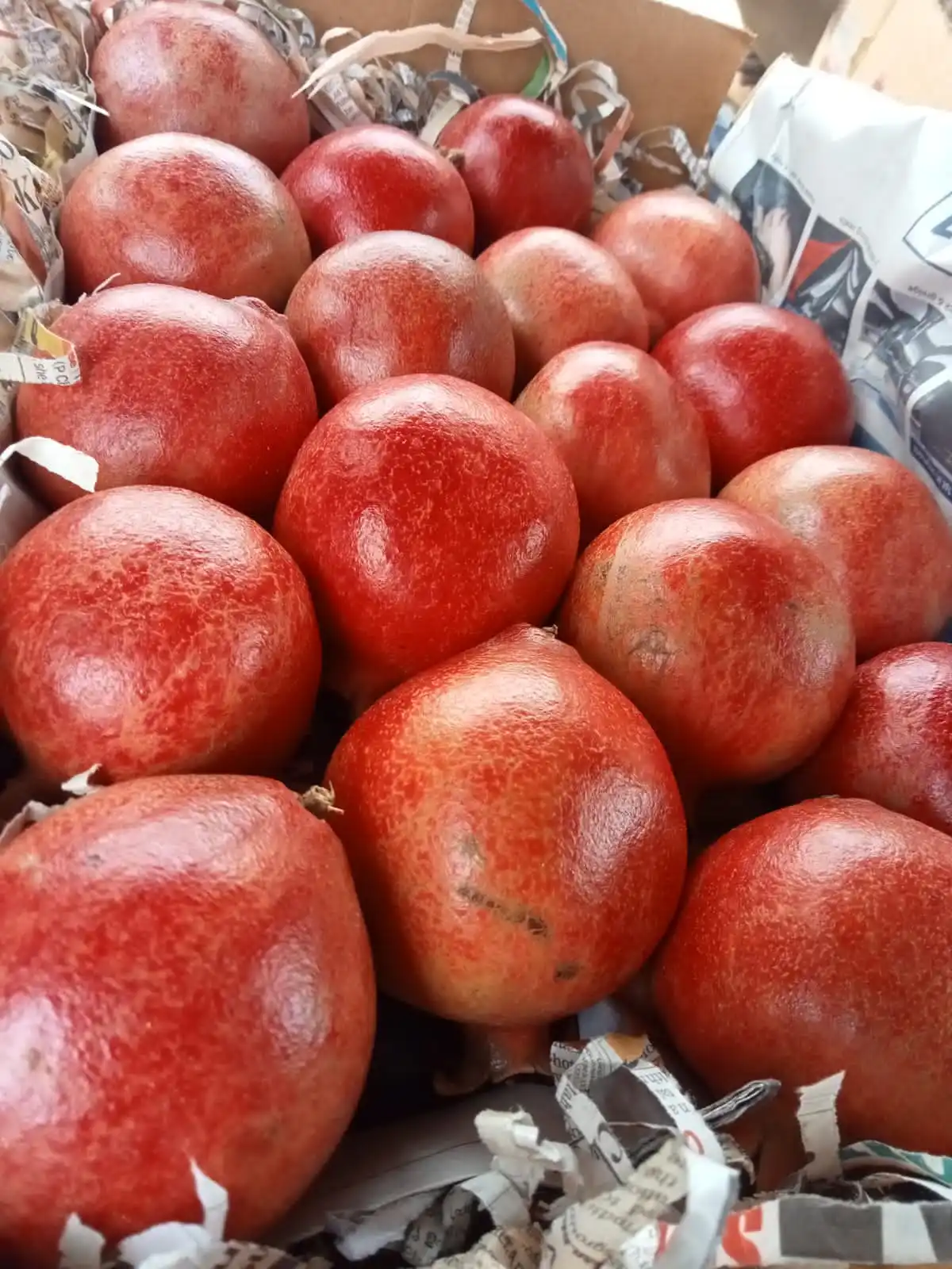 Top Quality Fresh Pomegranate big size sweet and sour in bulk Quantity from Indian Supplier