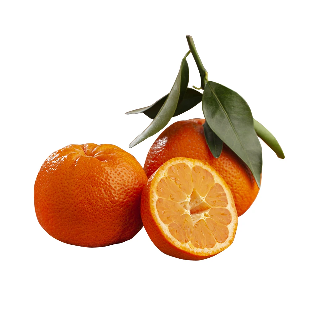New Crop %100 Organic Mandarin Big juicy Mandarine Premium Quality Fresh Mandarin - Made in Turkey
