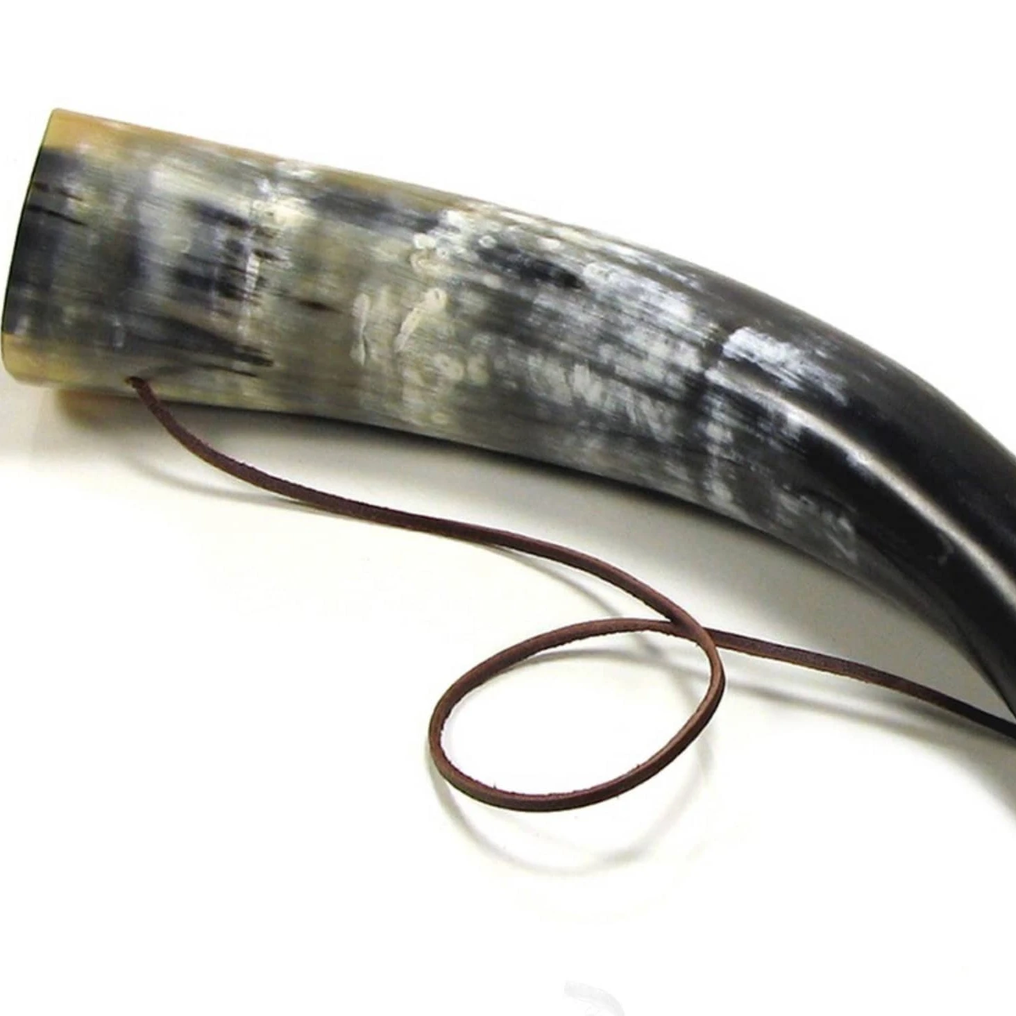 High Quality Horn Classic Sounding Wholesale Battle Sound Cattle Blowing Horn Natural with Leather Strip Souvenir India Animal