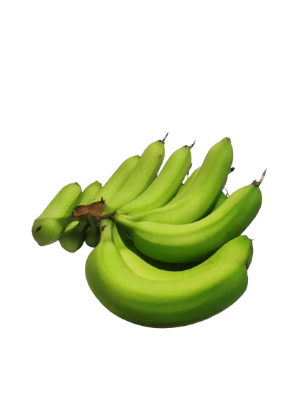Hot Ranking Sale Supplier Wholesale B789 Cavendish Banana Vietnam Fresh Banana OEM ODM Organic Grade Cheap Price Low MOQ