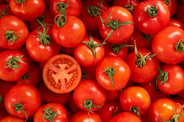 Best Quality Fresh Tomato from Export from Indian