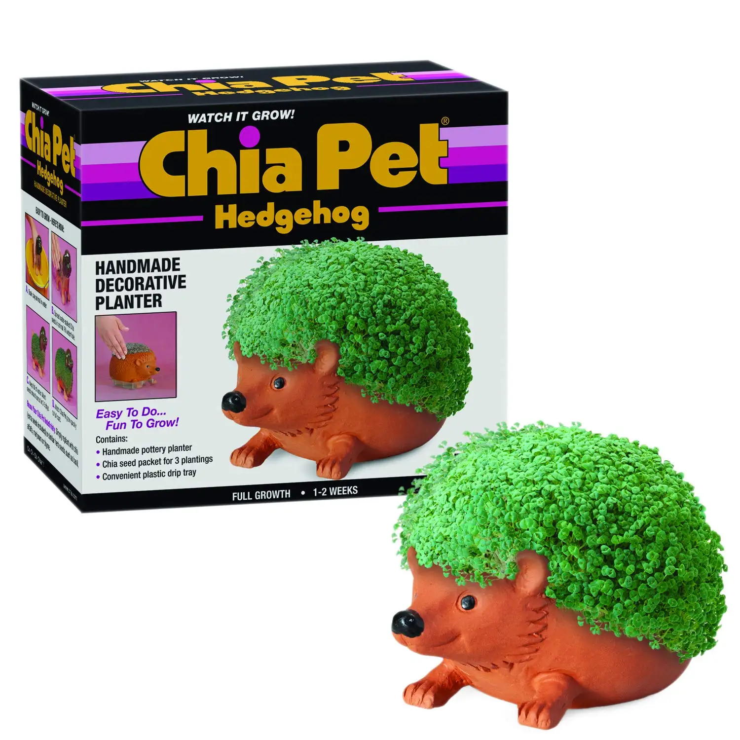 Chia Pet Hedgehog Decorative Pottery Planter with Seed Pack, Decorative Pottery Planter, Easy to Do and Fun to Grow