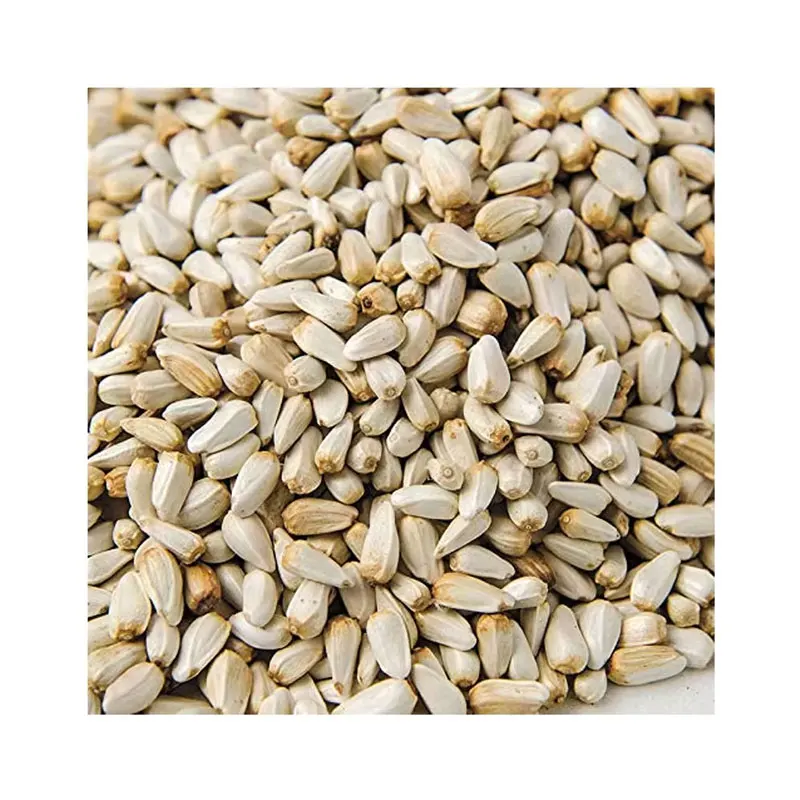 High Grade Vitamins Protein Safflower Natural Immunity Booster Safflower Seeds For Pet