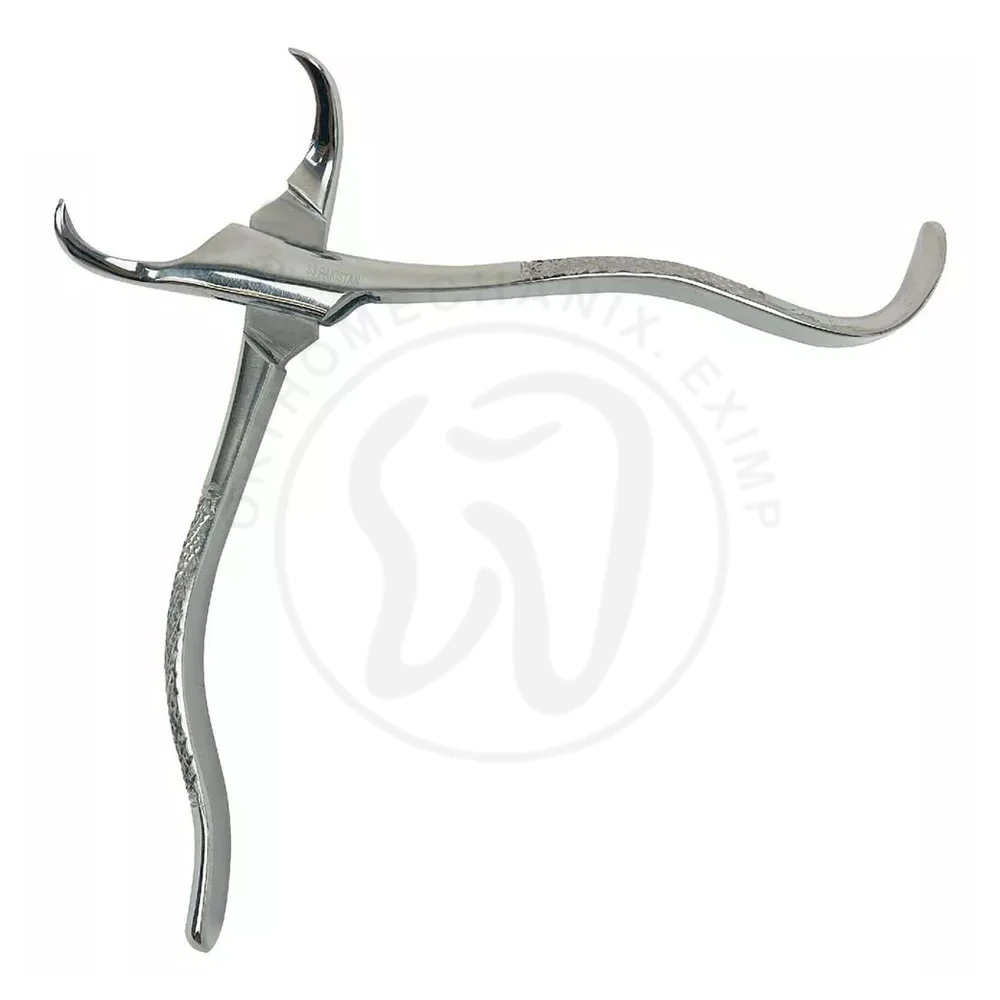 High Quality Stainless Steel  Forceps Orthodontic Instruments Dental Pliers Stainless Steel Adult Tooth Extraction Forceps