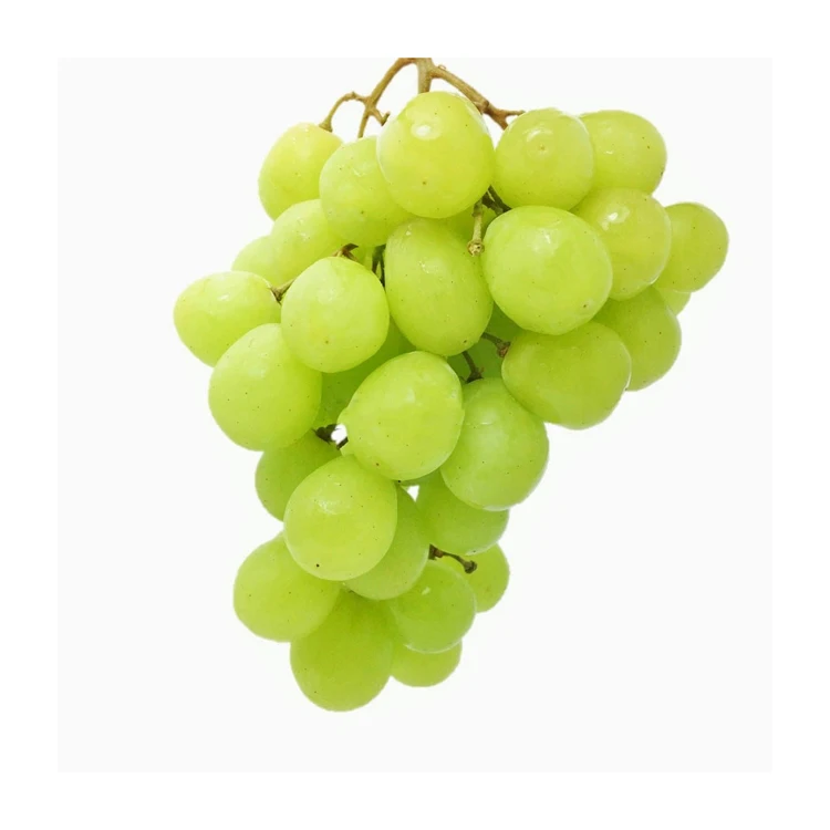 Высокосладкий свежий сияемый мускатный виноград натуральный зеленый виноград без косточек с богатыми витаминами, произведенными в Австрии