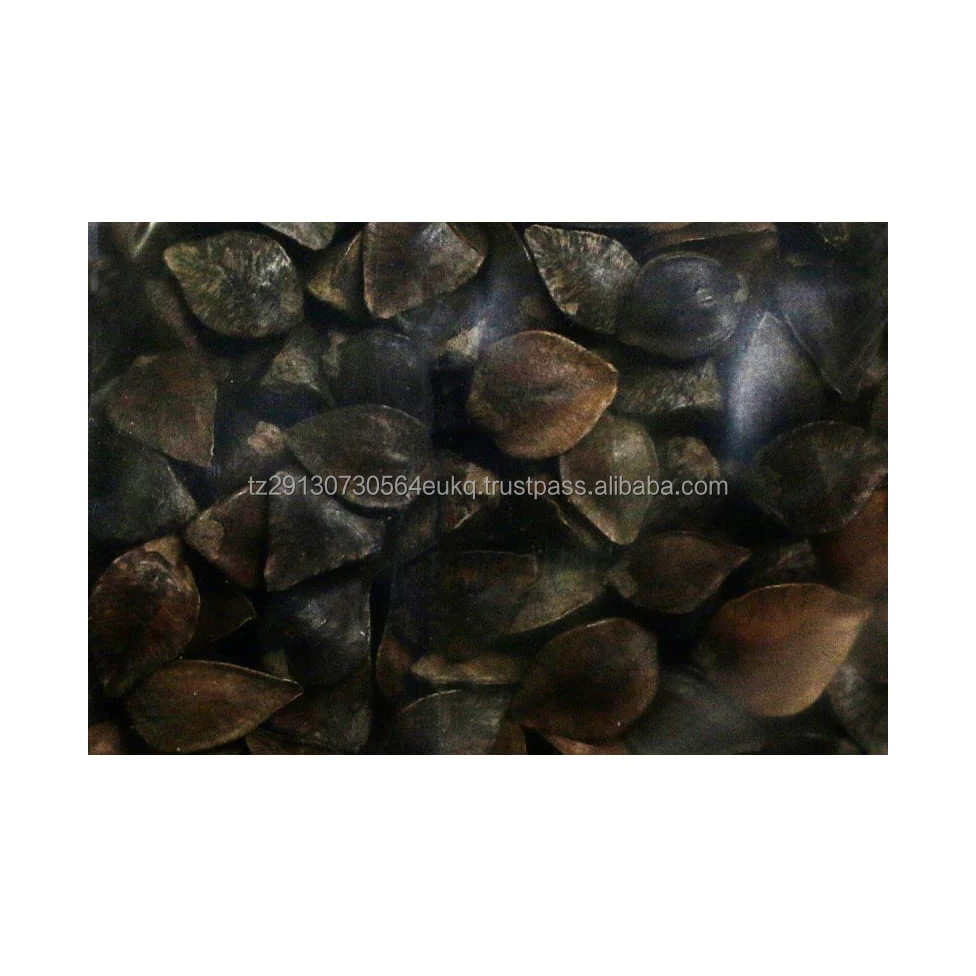Wholesale hulled buckwheat / Buckwheat grain / buckwheat seed