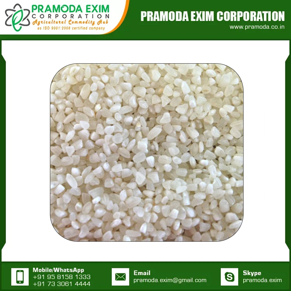 Best Quality Indian Broken Rice From India