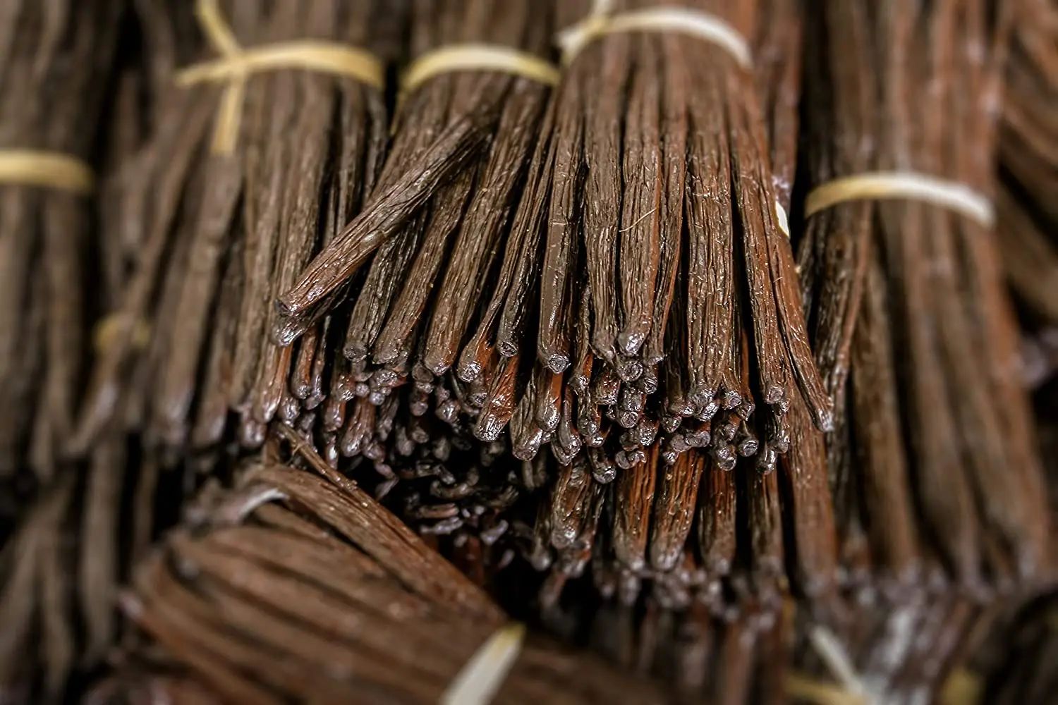 Dried Vanilla Beans in Bulk Quantity / High Quality Bulk and Natural Tropical Wholesale Vanilla Beans