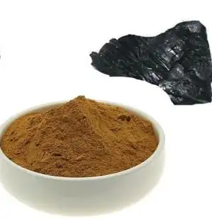 Hot Sale  Popular Shilajit Resin Sheelajit 40% Fulvic Acid Powder Shilajit capsule Asphaltum Extract