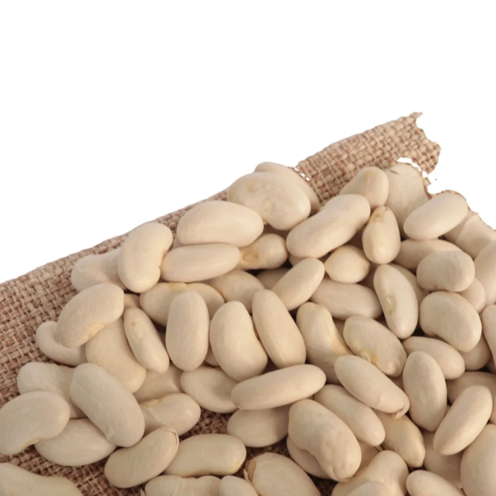 Premium quality White Kidney Beans for Human Consumption for sale