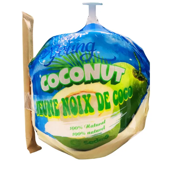 High Quality Fresh Young Green Coconut from Vietnam International Agriculture Wholesale Prices Cheap Price