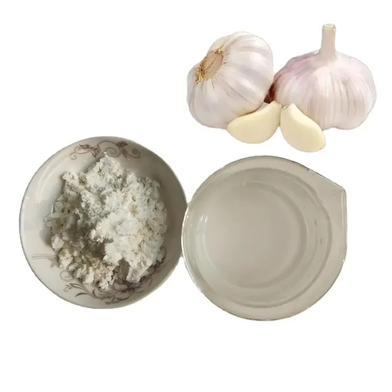 Wholesale Garlic Powder Garlic Extract Powder Dried Garlic Powder | Allium sativum extract