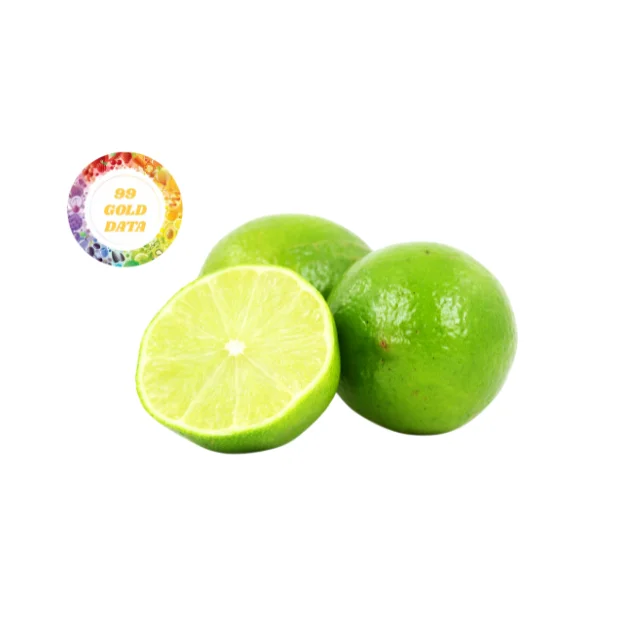High Quality Fresh Lemons Wholesale Supplier Offering Large Quantities at Competitive Prices for Buyers
