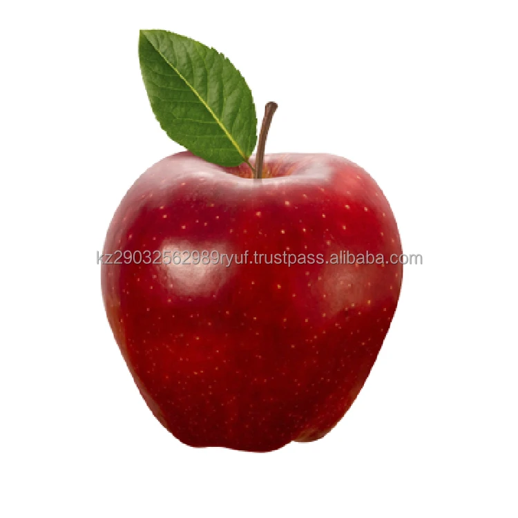 Organic apples premium grade from Kazakhstan highly regarded by gourmets all over the world