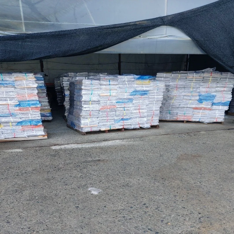 over Issued OCC Yellow Page Scrap Newspaper OINP Origin Waste Paper for Recycling SOP Type