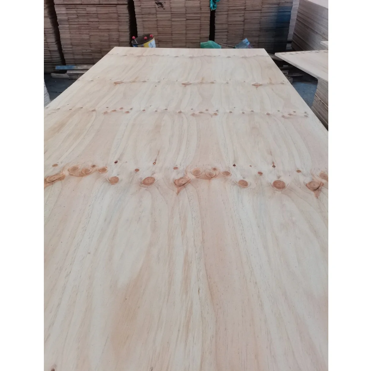 PINE PLYWOOD - KNOTTY PINE - Plywood type Commercial Plywood Factory direct price wood construction 5 mm - 34 mm
