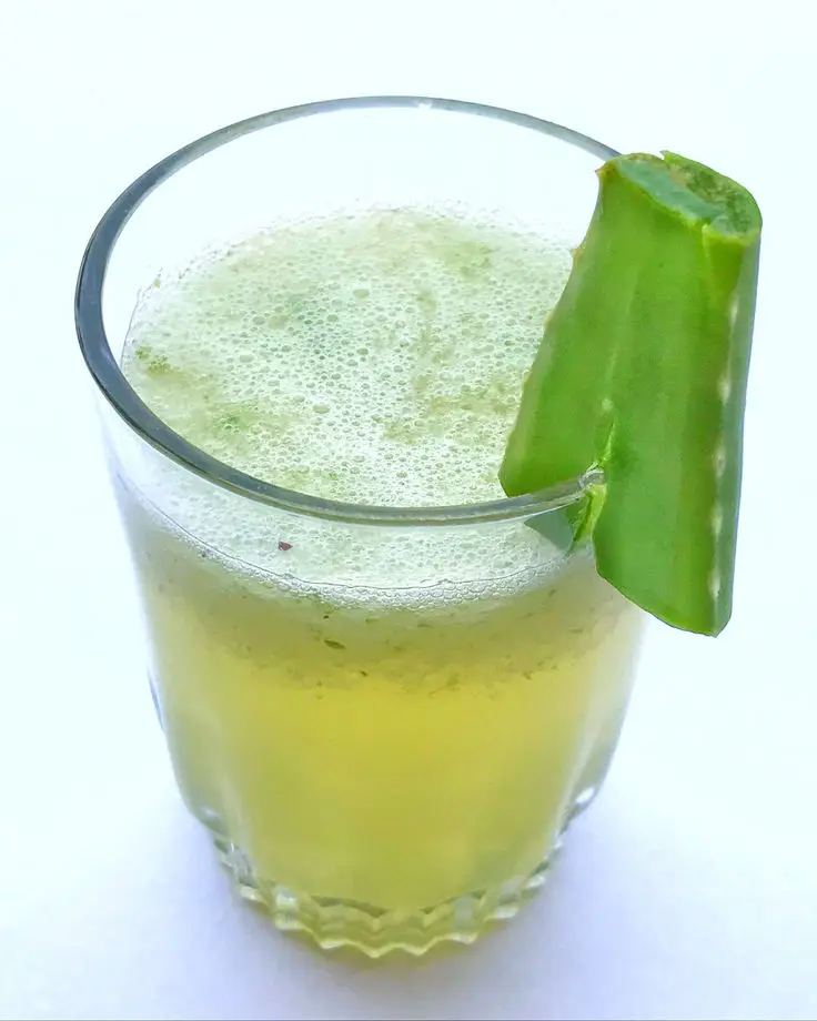 ALOE VERA PUREE FROM KIM MINH INTERNATIONAL, VIETNAM