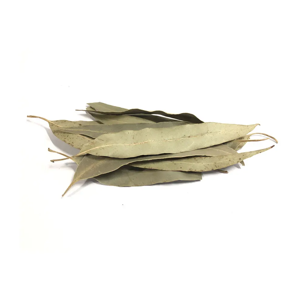 100% Pure and Organic Dried Eucalyptus Leaf Fresh Whole Herb with Oil Preserved Raw Spice Trusted Producer Drying Process AD