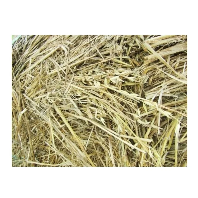 Quality Timothy Hay Quality Oat Hay/ Timothy Hay and Lucerne Clover in Bales/Bermuda Orchard Grass Oat Hay