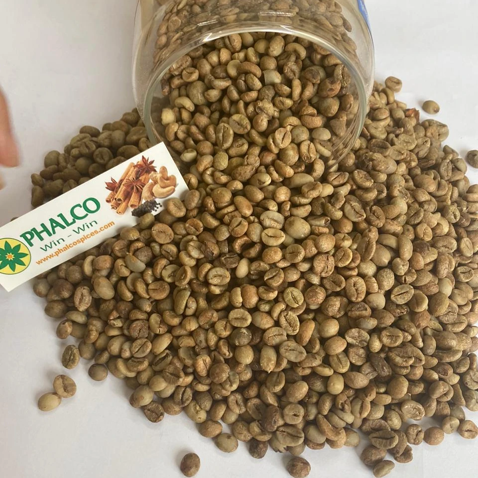 Зеленые кофейные зерна Robusta по заводской цене от Phalco vietnam 0084339966582