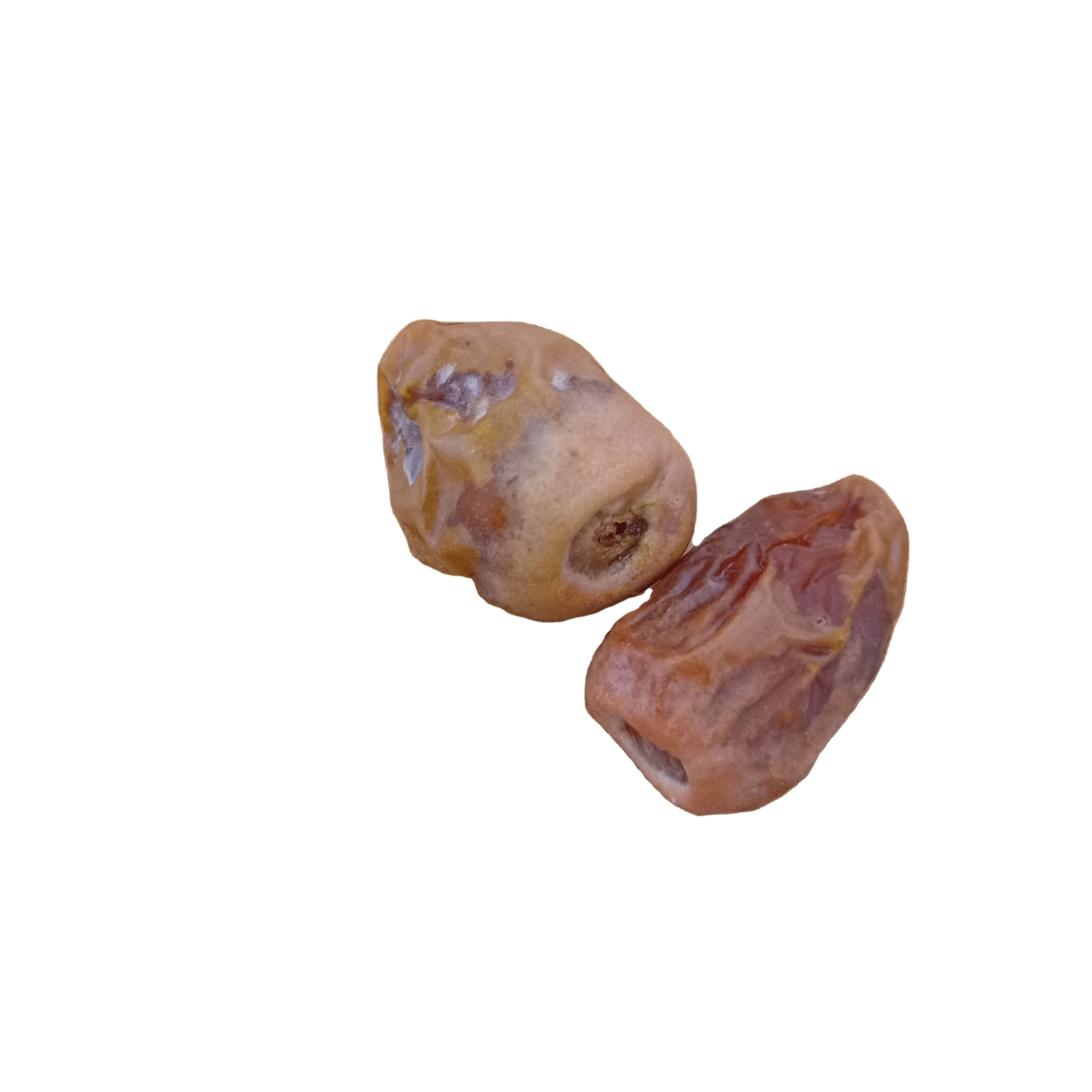 Sheshi Dates very cheap dates new harvest  2022 best quality ready for loading and shipping available customized packing