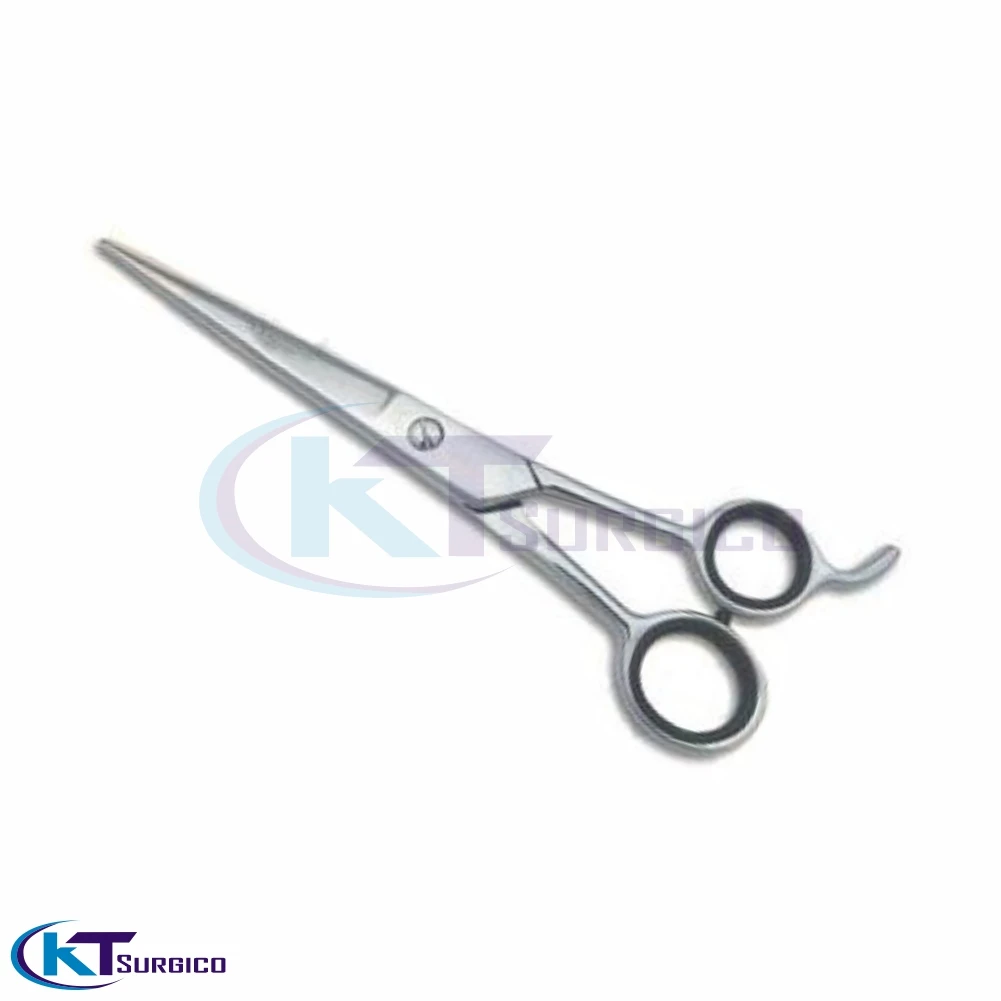 Professional Stainless Steel Barber Scissors/Thinning Shears Hot Sale Hairdressing Salon Beauty Accessories with Sharp Blade Tip