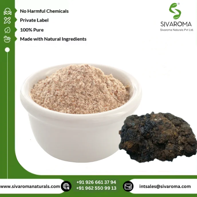 Hot Selling Shilajit Extract Powder Pure Natural Herbal Water Soluble Solvent Extracted Health Energy Supply from Manufacturer