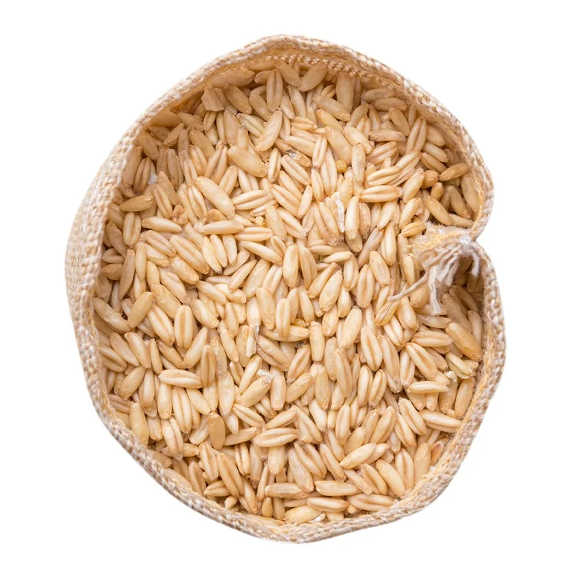 Top Quality Hulled Oats/ Oats Grains For Sale