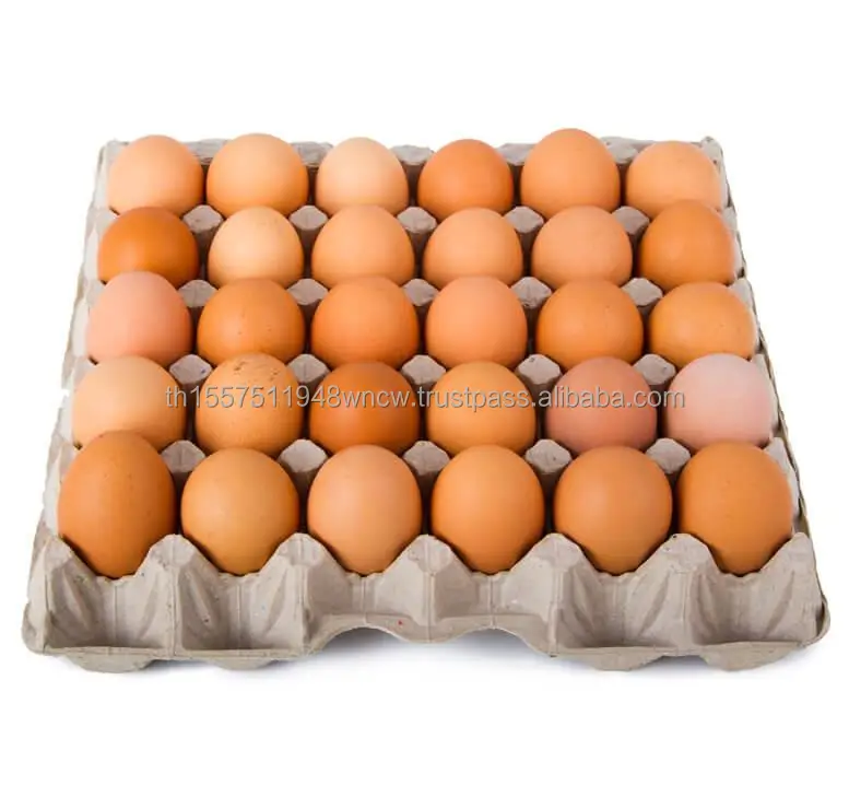 Chicken Eggs Ostrich Eggs, Chicken Eggs, Turkey Eggs Fresh Table Eggs Brown And White (11000004160718)
