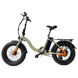electric race bike electric bike 750w 48v 12ah electric bicycle mountain bike