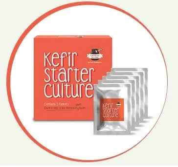 Wholesale Supply Best Quality Sugar Free Freeze Kefir Starter Culture at Bulk Price From Indian Manufacture for Export