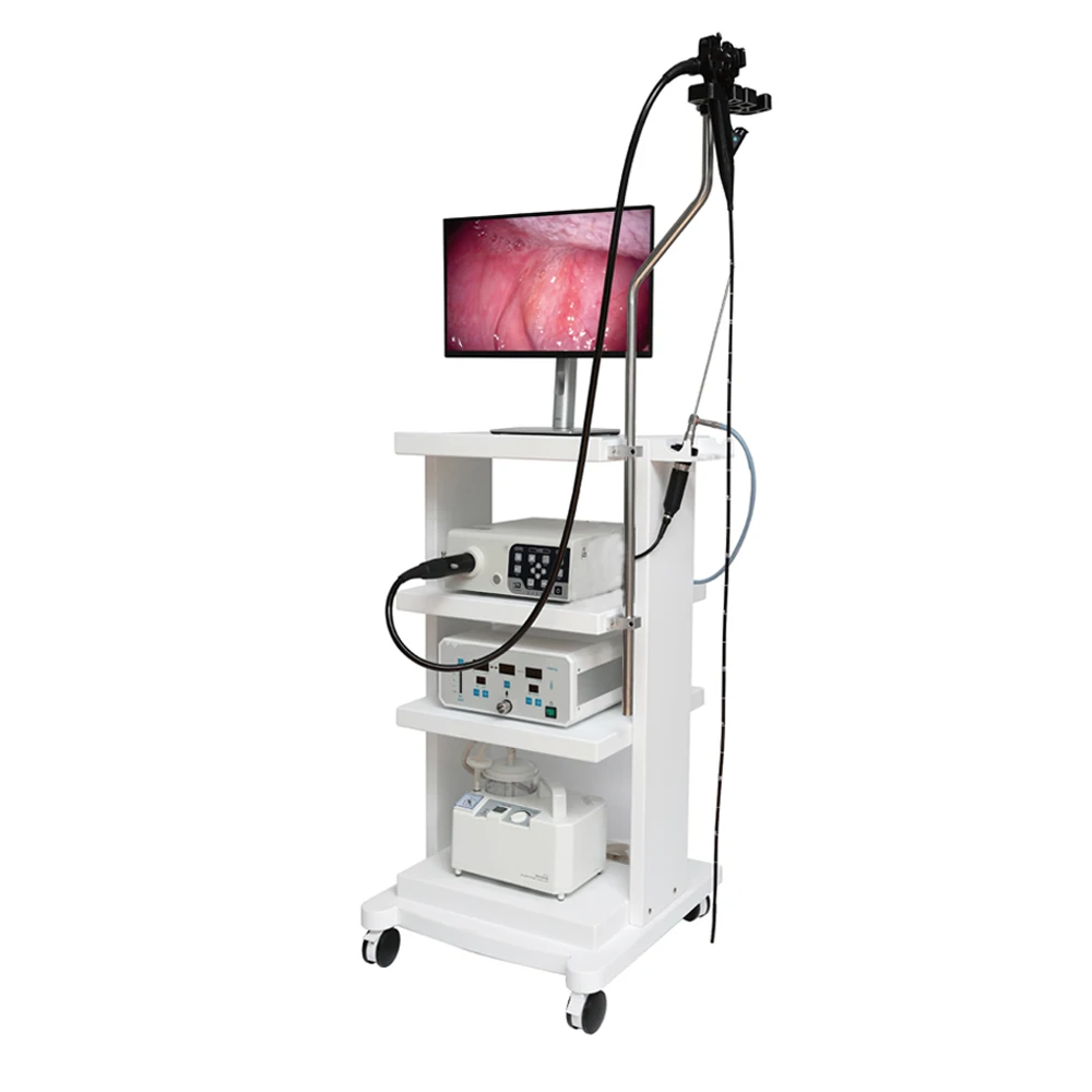 Medical Flexible Endoscope Gastroscope& Colonoscope Imaging Endoscopy System for Veterinary