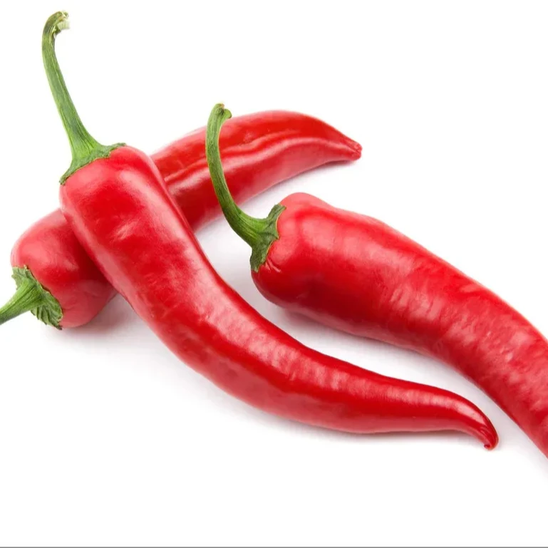 Superior Grade Frozen Chilli  Distribution Large Quantity From Vietnam VI HUYNH