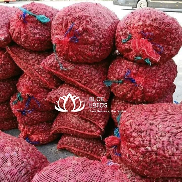 RED ONION VEGETABLES FROM VIETNAM Red Crop Time Newest High Quality Top Selling 2023 Ms Heidi +84 961066080