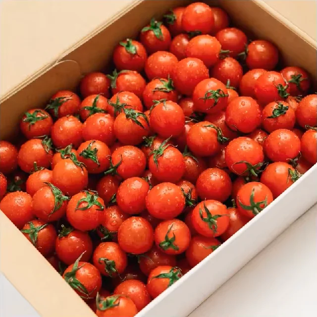 Crop 2024 fresh Thai tomato fresh tomato for sale export price