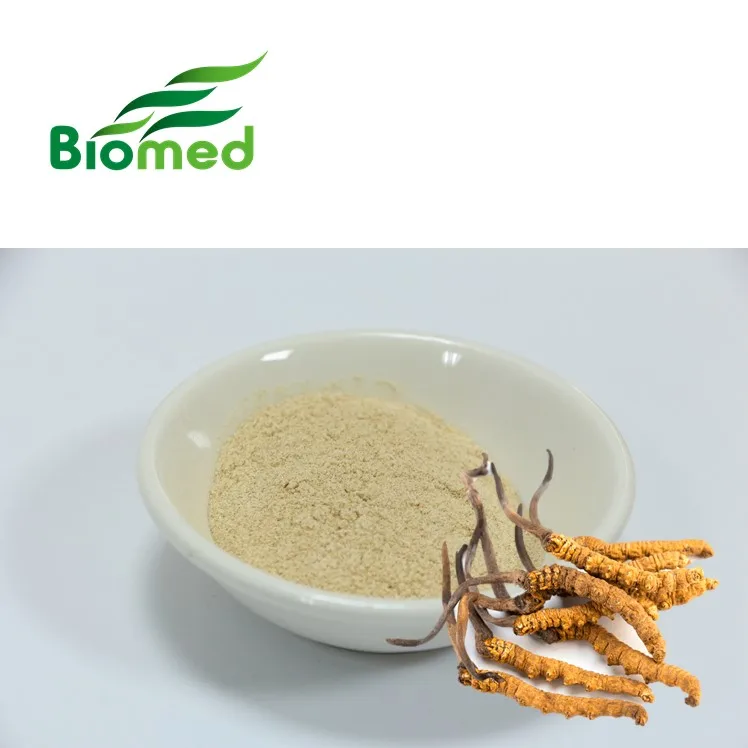 Taiwan cordyceps sinensis extract extraction capsule powder