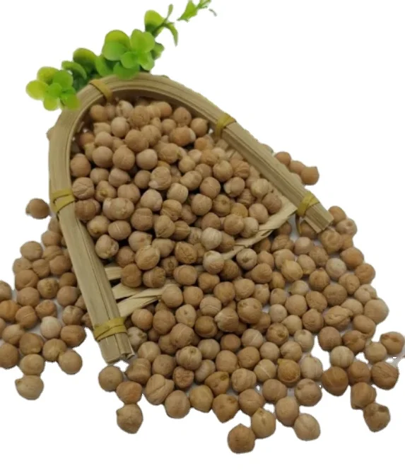 2024 Sale Organic Desi Chickpeas White Chick Peas Beans Color Weight For sale