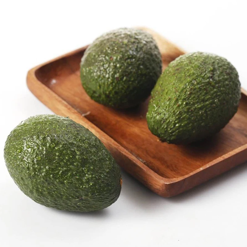 Fresh Avocado / Hass Avocado/Fuerte Avocado Fruit
