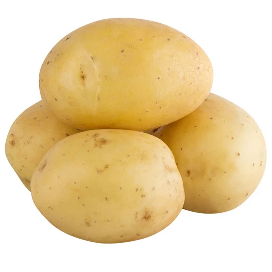 New Harvest Fresh Potatoes Exporters fresh potatoes Popular vegetable fresh potato wholesale price FOR SALE
