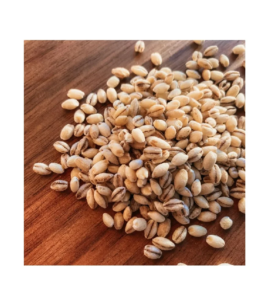 100% Barley Seeds/Animal feed barley/bulk barley grains at affordable price