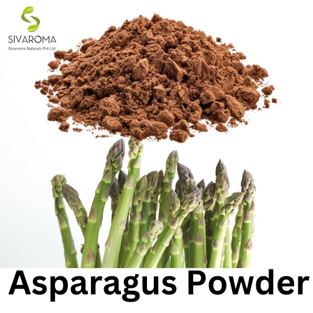 Herbal Extract Water Soluble Asparagus Extract (Powder) High Quality Asparagus Officinalis Extract Powder for Sale at Bulk