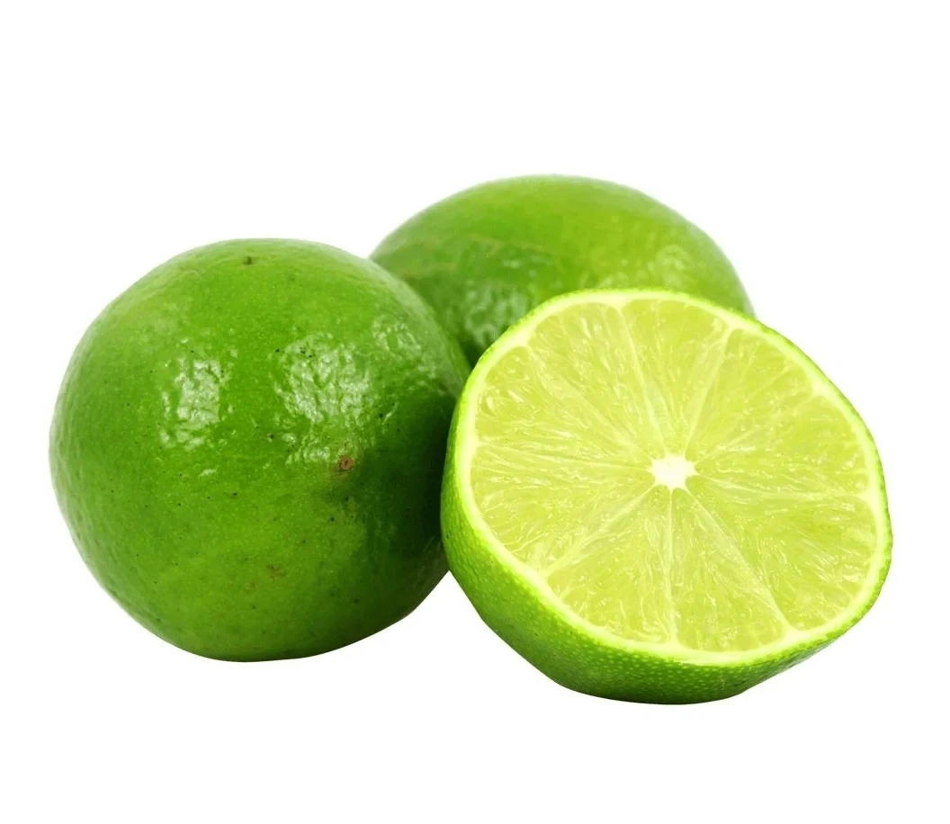 100% Natural Fresh Citrus Fruit Seedless green lime With 10-20 pcs/kg Availability All year around From Vietnam