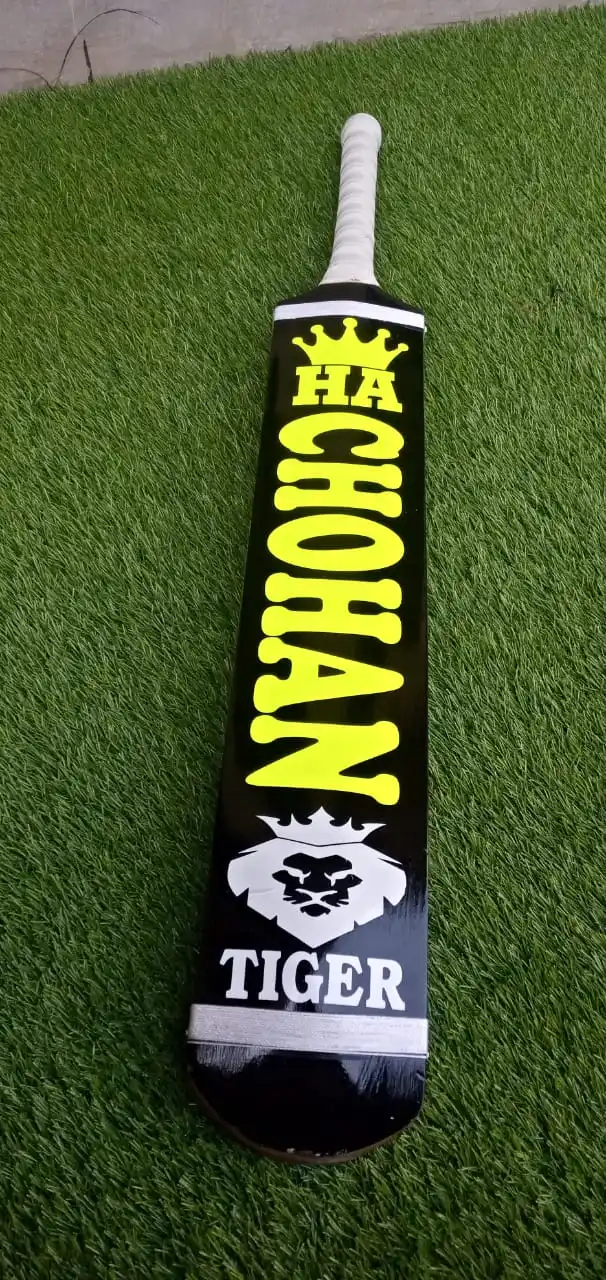 Best Kashmir Willow Cricket Bat