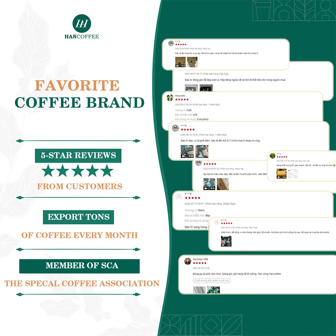 Vietnamese Coffee Factory Raw Coffee Bean High Quality  Beans Wholesale Custom Brand coffee beans arabica bag
