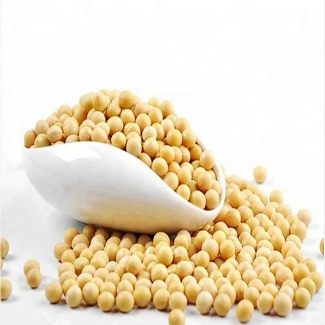 Sprouting and Food Grade Yellow Soybeans / Top Quality Dried Soya Beans Non - gmo Soybeans