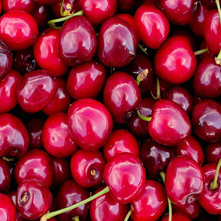 Top Quality Fresh Cherry Natural Sweet Fresh Fruits Cherries for Sale at Cheapest Wholesale Price