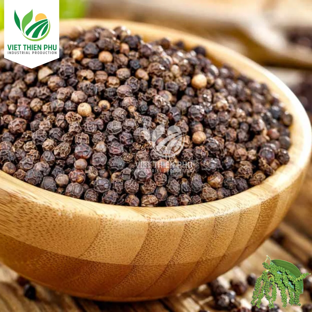 Black Pepper Spices Wholesale Top High Quality Manufacturer Cheap Price Black Pepper Vietnam