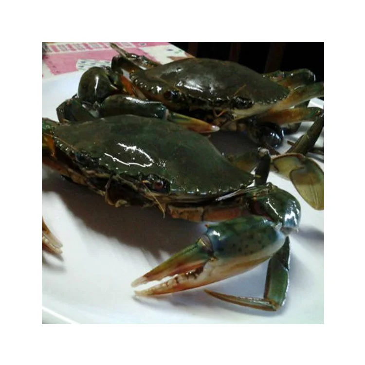 Hot Selling Fresh Frozen Mud Crabs, King Crabs in Bulk