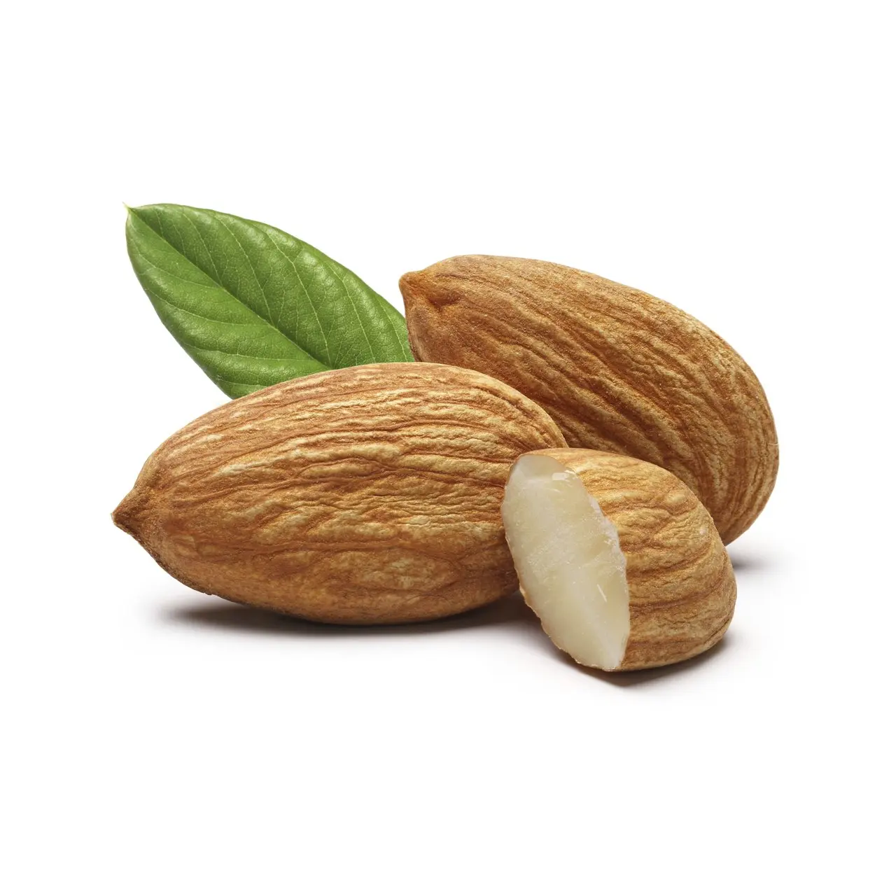Sells fresh healthy large grain almonds prepared in Brazil with durable airtight organic almonds, almond nut suppliers